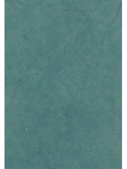 Zee groen, Lokta 90g