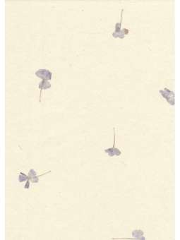 Set 75x A6 Gampi papier met...