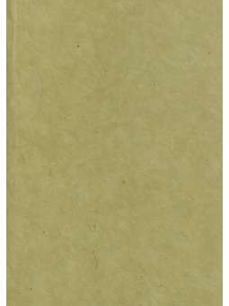 Olijfgroen, Lokta 120g