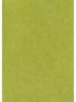 Limoengroen, Lokta 120g