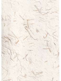 Mulberrypapier met...