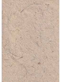 Ecru Lokta batch 100g