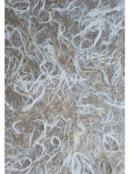 Gefotografeerd tegen bruin achtergrond