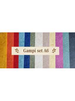 Verrassing Gampi set A6 (5...