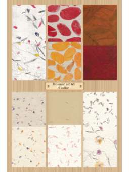 Verrassing Bloemen set A5...