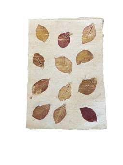 Nr. 3: Mulberry-mais papier...